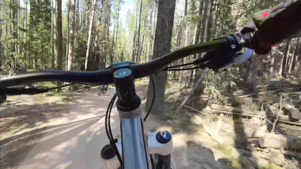 Downhill Biking – Mountain Biking - Trestle Bike Park -Paper Boy – 07/13/24