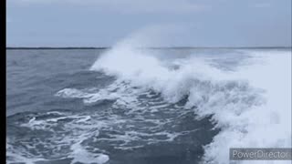 Donphins jumping out of water epic clip!