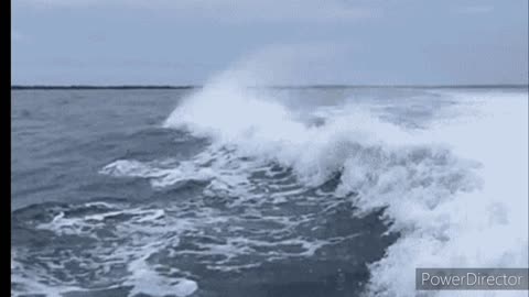 Donphins jumping out of water epic clip!