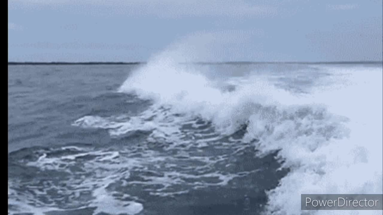 Donphins jumping out of water epic clip!