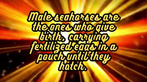 Animal Facts Seahorses #shorts