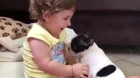 Children play with dogs