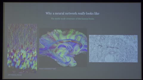 IEEE EMBS Workshop - Gabriel Silva on Towards engineered natural intelligence 2019