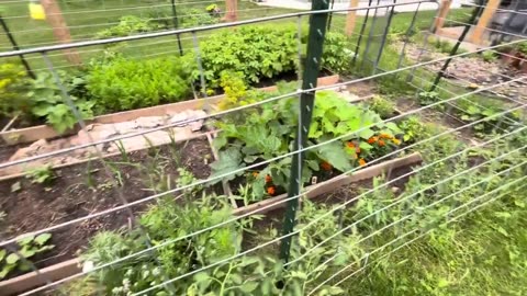 Garden Tour July 15, 2024