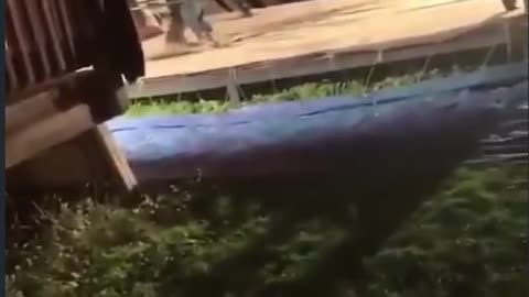 The wrestler folded