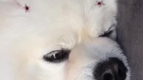 hard life