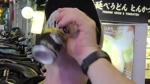 fatty demon pig - 2024 - October 18th part 002