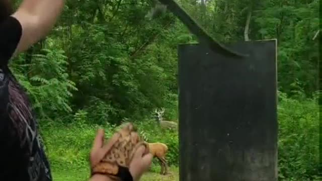 This guy has great skills