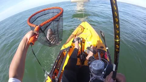 OBX Sheepshead fishing at Bonner Bridge