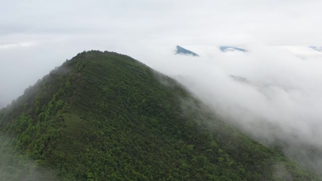 Thick fog covers the mountain peaks