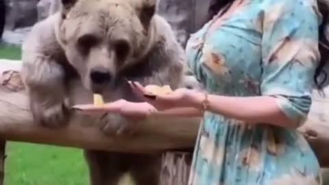 girl trying to feed bear ❤️😍❣️❤️❣️😍🔥🔥🐶