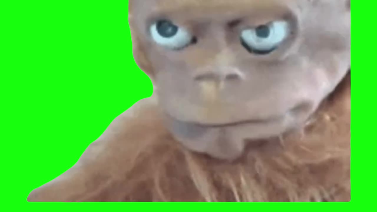 Revelation Monkey | Green Screen