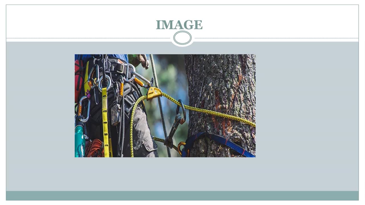 Looking for the best Tree Pruning in Anselmi Ridge