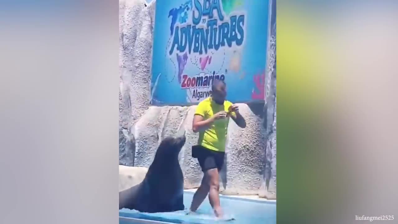 Funny Animal Videos 🐶 Best Animals Video That Always Make Us LAUGH!😂_2