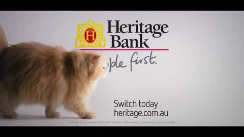 Heritage Bank 'Cats first' Fat Cats 30 sec TV/Online