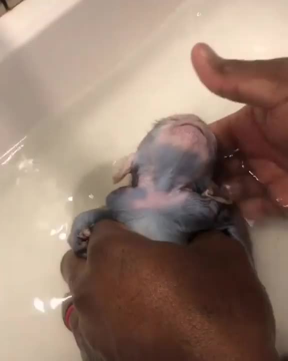 Splish splash, I was taking a bath