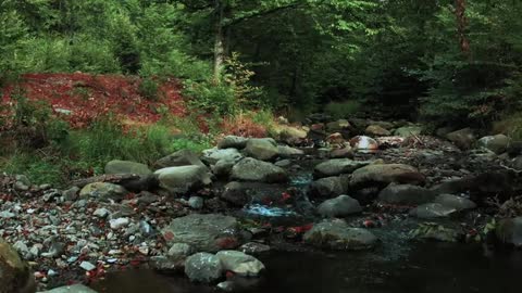 Beautiful Nature and Scenic Landscapes | Free Stock Footage