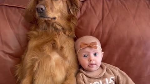 cute dog and a baby