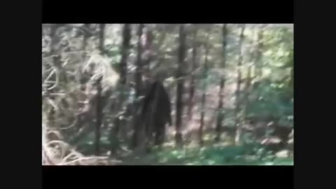 Sasquatch Ten Yards From Native Boy