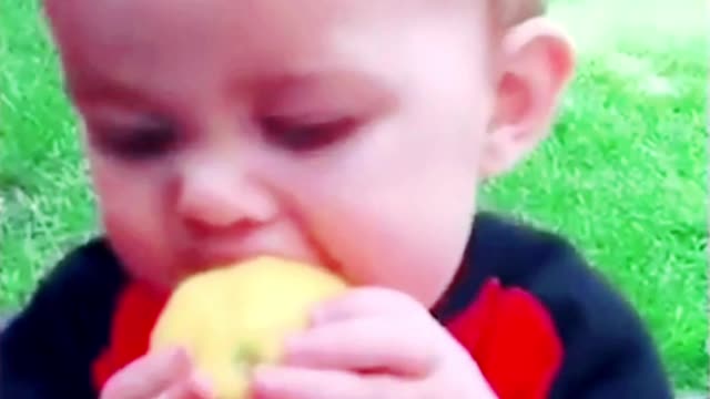 He loves eat lemon Cute Funny Baby Videos Eating Lemon Try Not To laugh Challenge😂