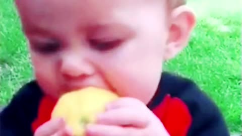 He loves eat lemon Cute Funny Baby Videos Eating Lemon Try Not To laugh Challenge😂