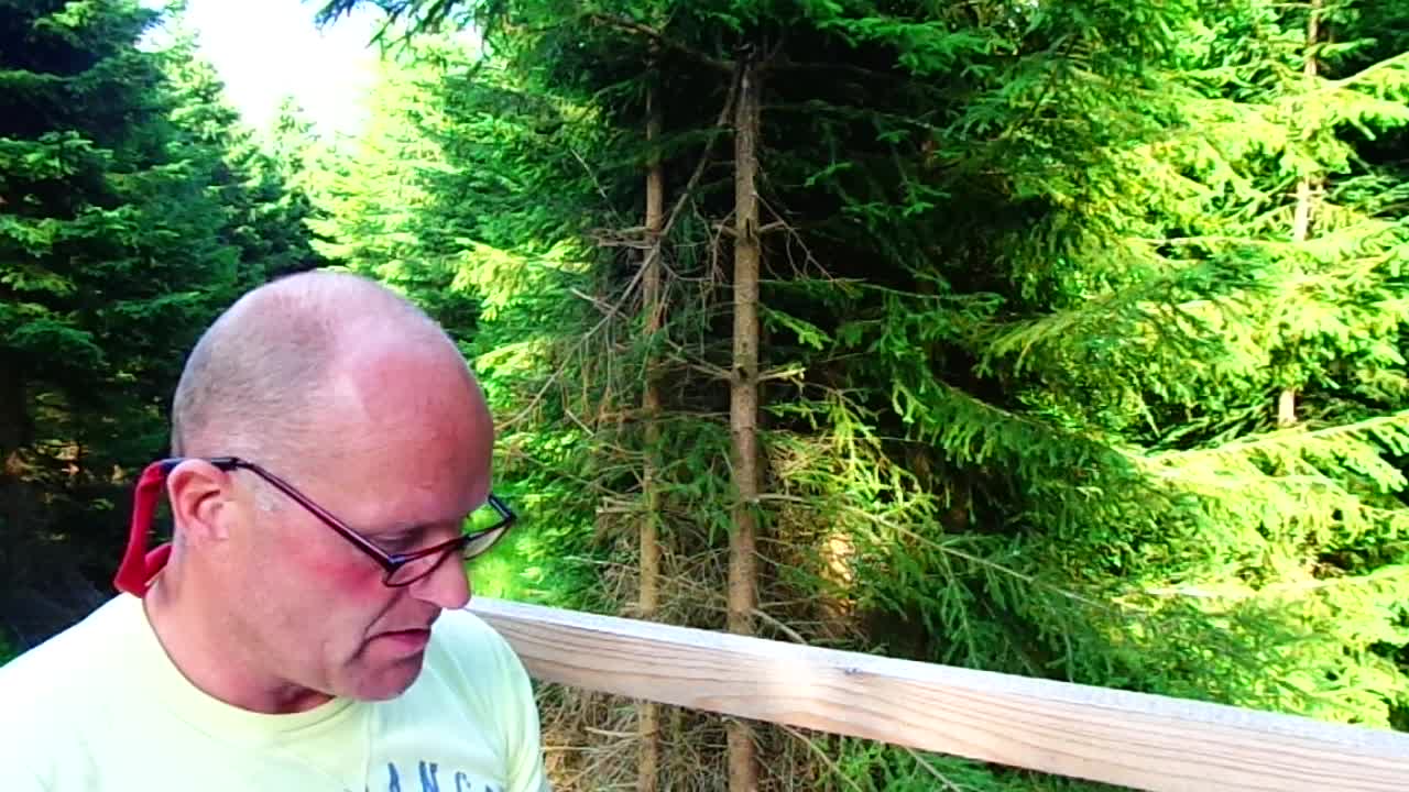 Von der Schuld