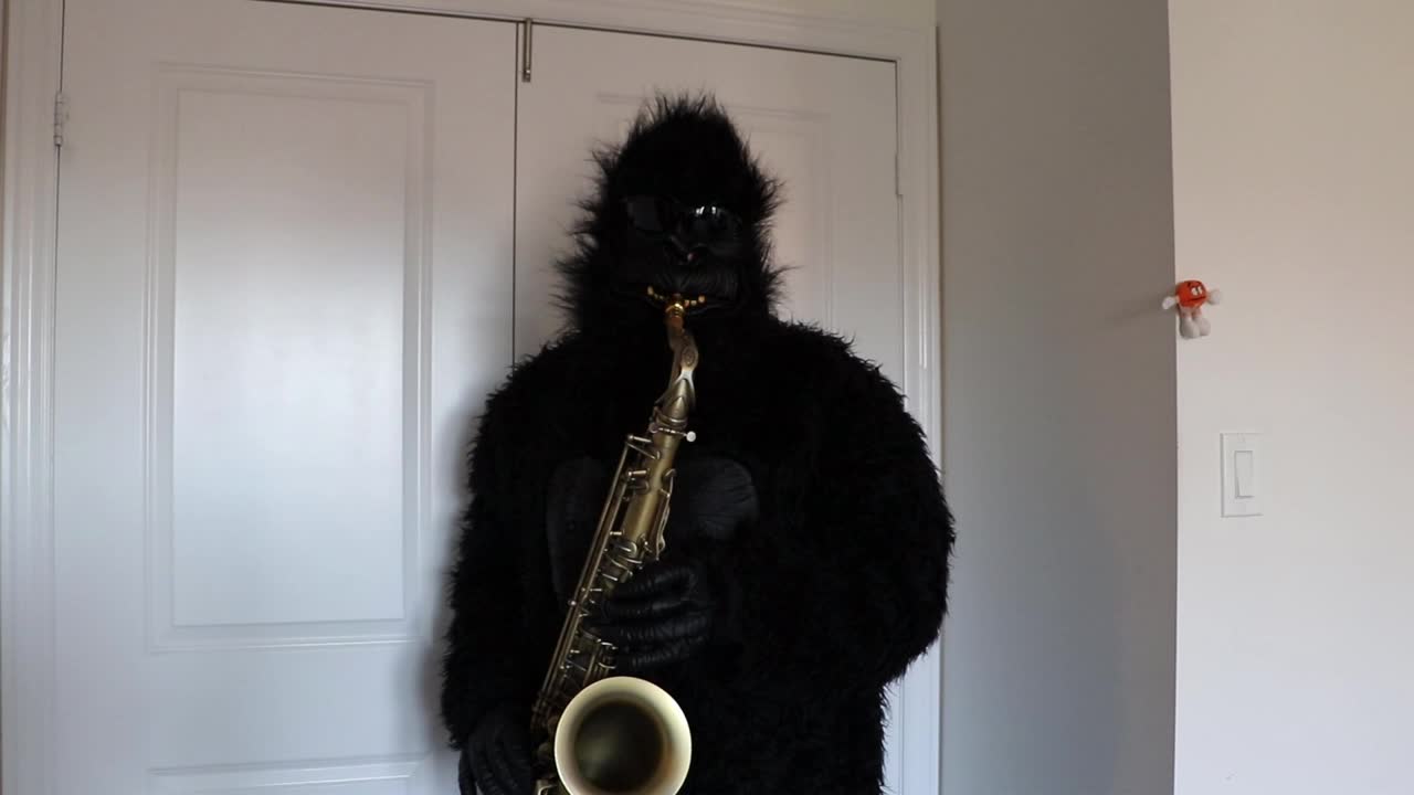 When The Saints Go Marching In - Gorilla costumer - on Saxophone