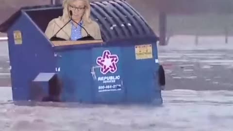 Dumpster Liz