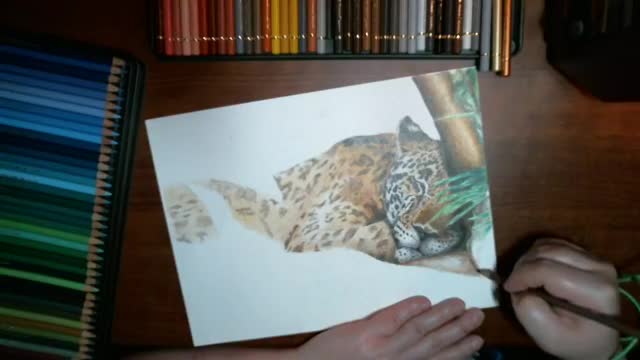 Leopard WIP