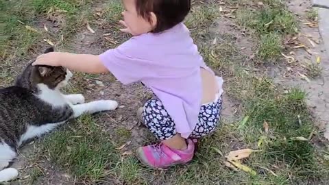 Cat Bites A Baby. # Baby Videos