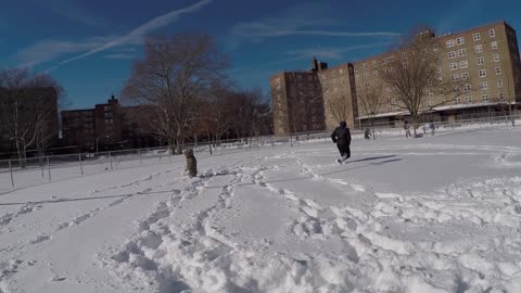 Let It Snow! - Jan 24, 2016