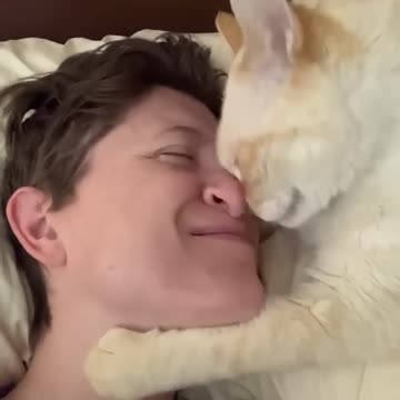 I Want Nose Kisses too 💋😽🐈