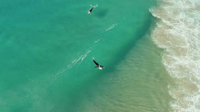 Commercial video: Surfing on the beach for 13 seconds