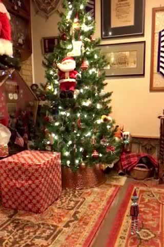 Elf on the Shelf Caught Visiting