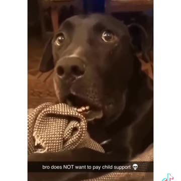 He has to leave ASAP