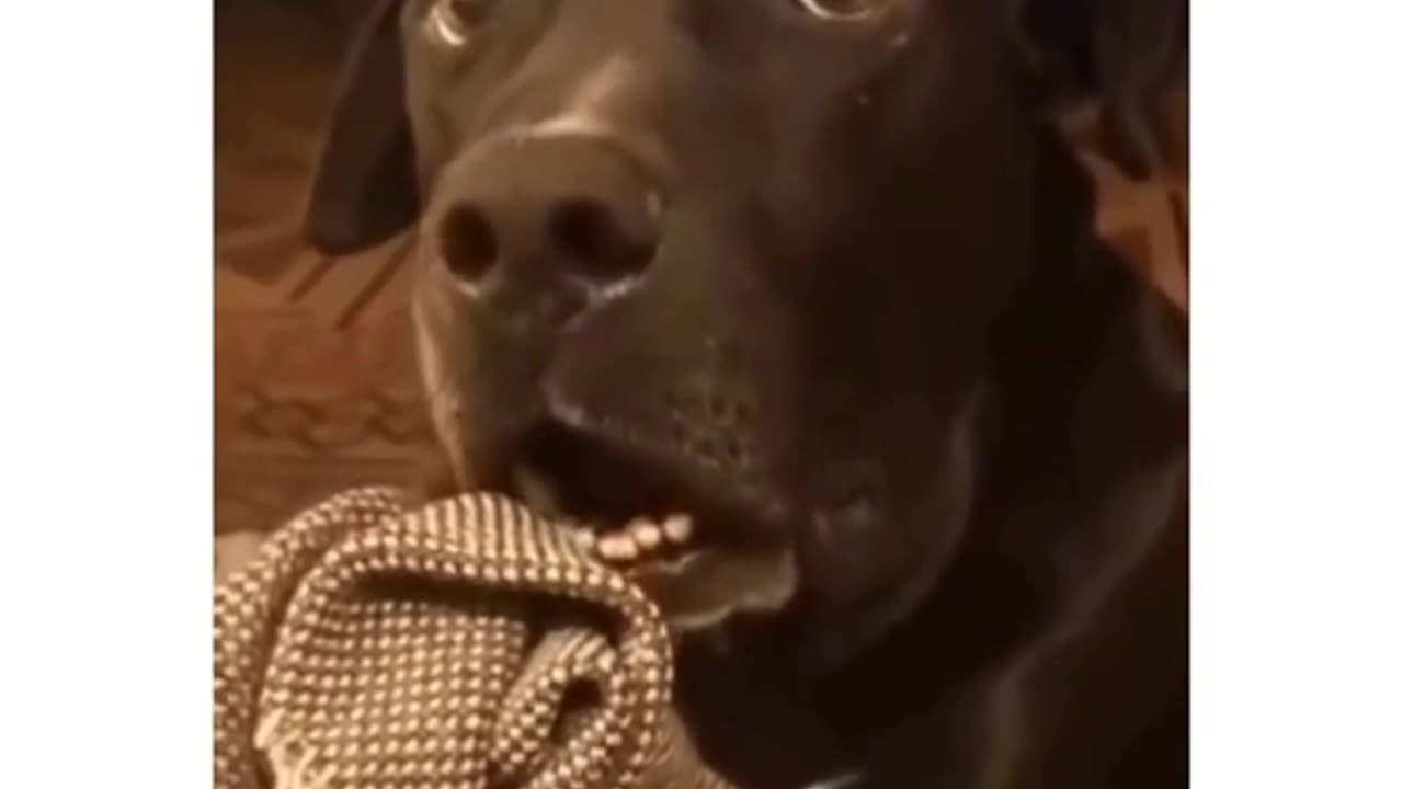 He has to leave ASAP