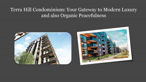 Terra Hill Apartment: Your Portal to Modern Luxurious and Organic Serenity