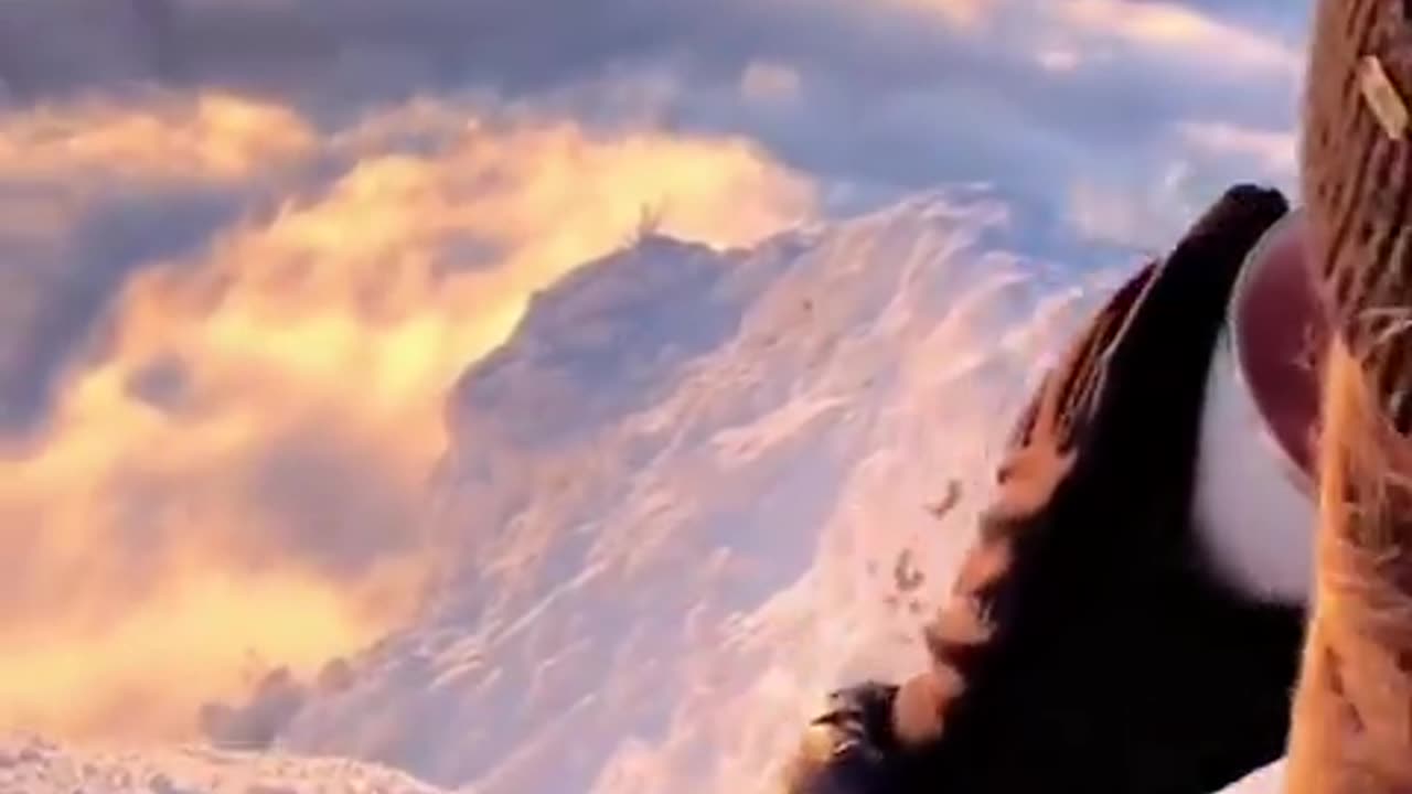 Dawn on the top of Veľký Choč, Slovakia 🇸🇰
