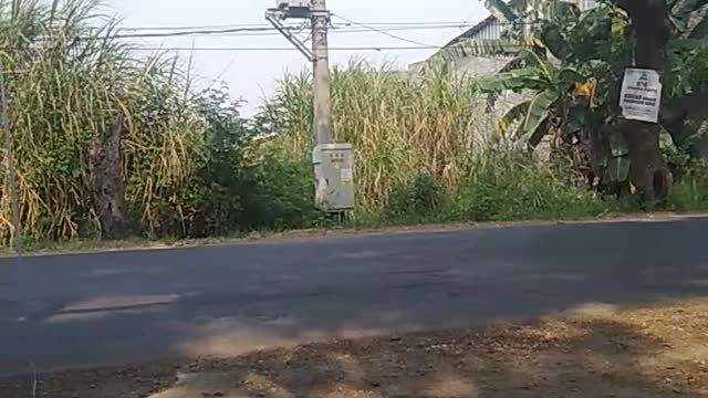 suasana jalan proklamasi