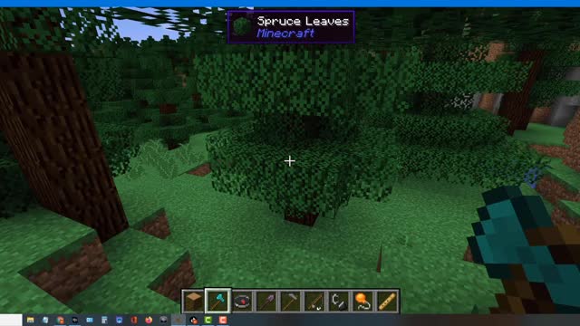 Minecraft vanilla skin version 1.17.1_1