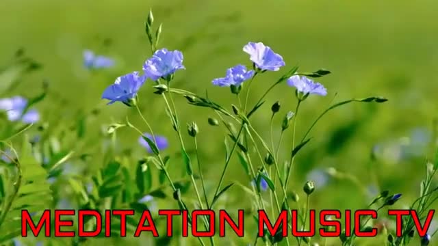 Peaceful meditation music