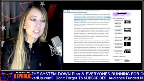 Restricted Republic - Major Panic; Its Out! Musk & Vivek Release BURN THE SYSTEM DOWN... 11-21-24