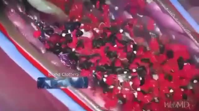 The Horrible Reality of mRNA Injections