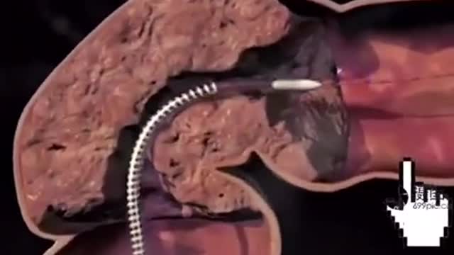 Medical Science