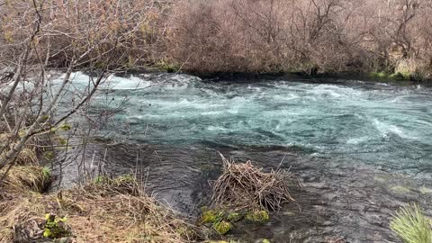 Very Wild Section of Metolius River – Central Oregon