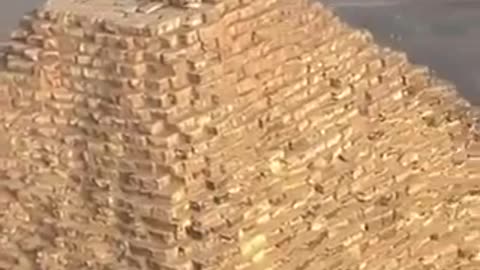 A Dog Climbed to the peak of the renowned Great Pyramid of Giza in Egypt and let out a bark