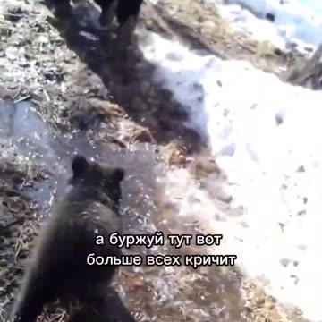 “Машка, Дунька и Буржуй”: это видео в западных соцсетях назвали самым русским