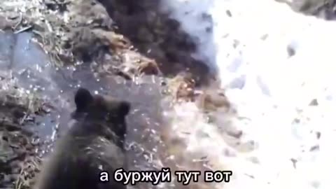 “Машка, Дунька и Буржуй”: это видео в западных соцсетях назвали самым русским