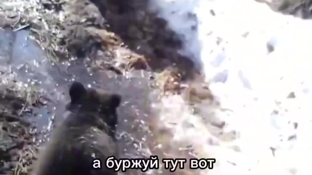 “Машка, Дунька и Буржуй”: это видео в западных соцсетях назвали самым русским
