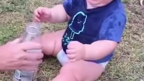 Funny babies video clips